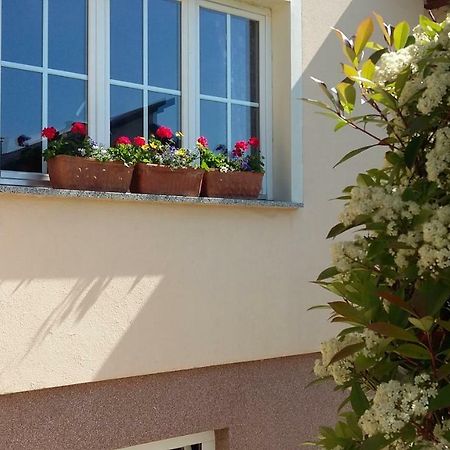 Apartments Place4You بييلوفار المظهر الخارجي الصورة