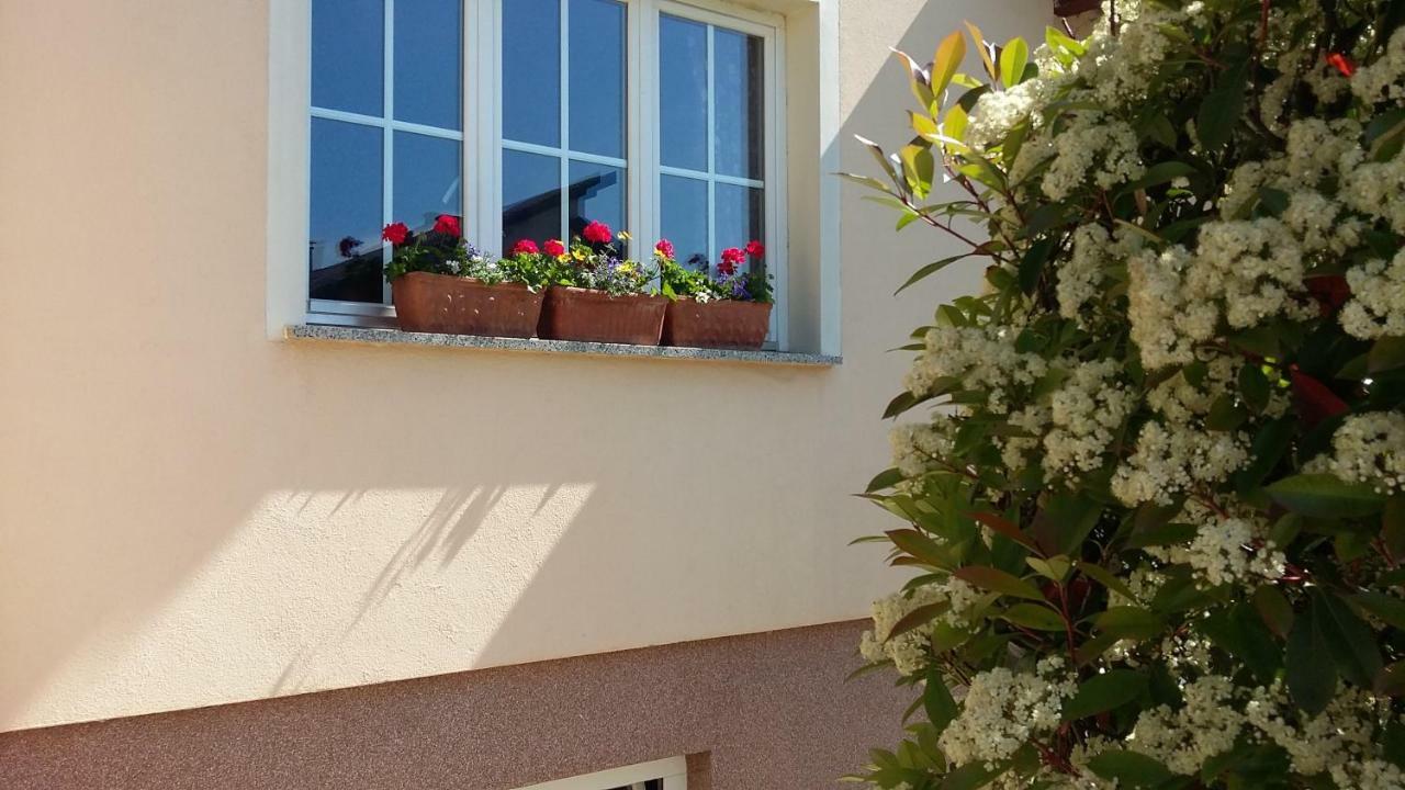 Apartments Place4You بييلوفار المظهر الخارجي الصورة